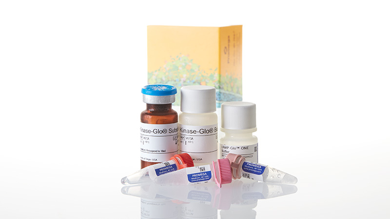 max one glutathione cAMP-Glo™ Max Assay