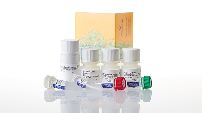 GTPase-Glo™ Assay