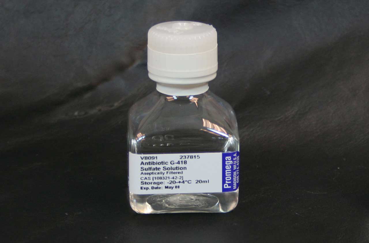 Antibiotic G-418 Sulfate