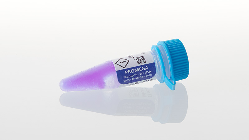 V8491_Broad-Range-Protein-Molecular-Markers_3