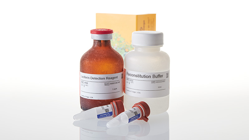 V8782_P450-Glo--CYP2C8-Assay--50ml_3