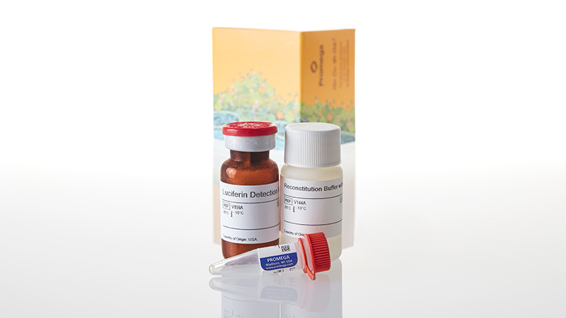 V8881_P450-Glo--CYP2C19-Assay-10ml_3