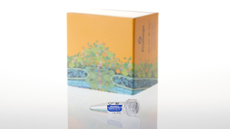 VA1000_AccuMAP-Denaturing-Solution