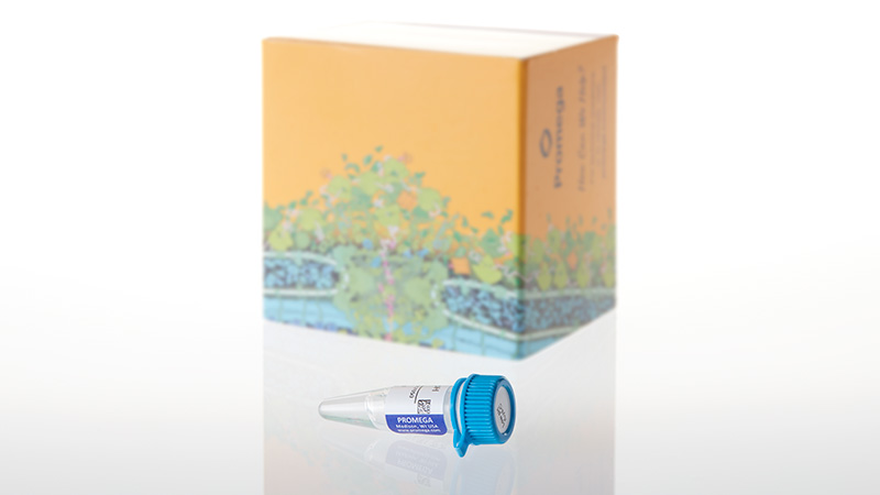 VA1030_AccuMAP-Low-pH-Resistant-rLys-C-Solution