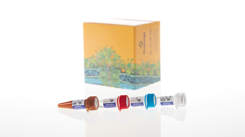 Lumit® Immunoassay Labeling Kit and Detection Reagents