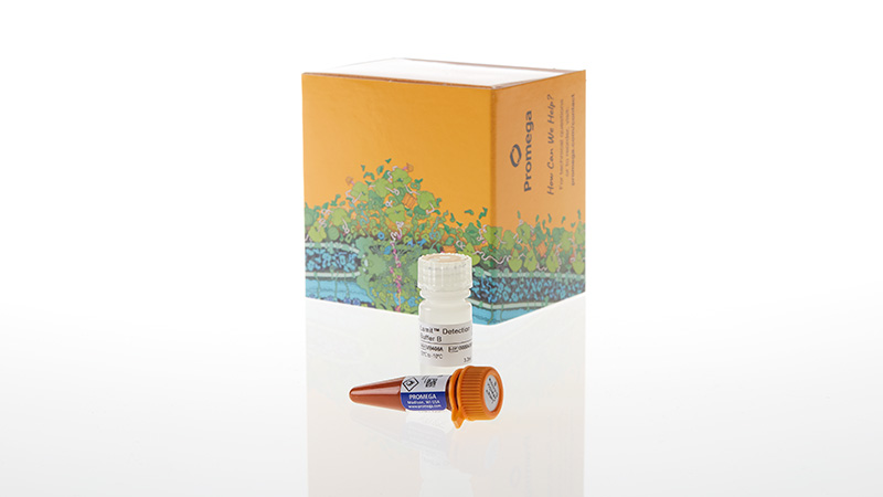 Lumit® Immunoassay Labeling Kit and Detection Reagents