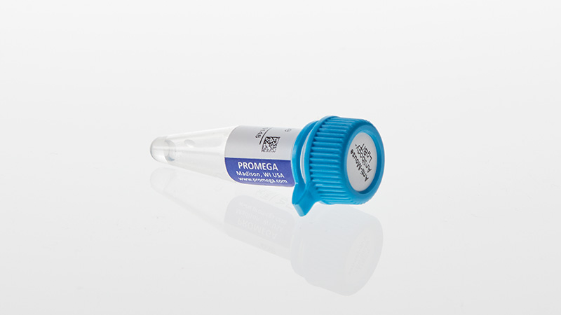 Lumit® Immunoassay Lysis and Detection Kits and Secondary Antibodies