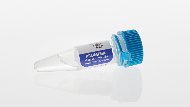 Lumit® Immunoassay Lysis and Detection Kits and Secondary Antibodies