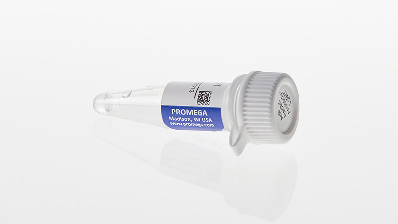 Lumit® Immunoassay Lysis and Detection Kits and Secondary Antibodies
