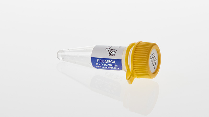 ◆ニチベイ◆ウッドブラインド◆W1220×H920◆O-2506BL7◆ Lumit® Immunoassay Lysis and Detection Kits and Secondary Antibodies