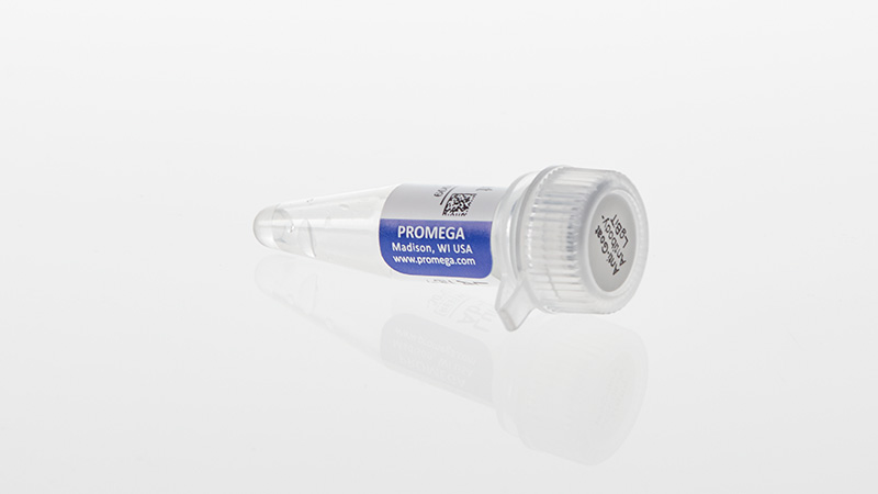 ◆ニチベイ◆ウッドブラインド◆W1220×H920◆O-2506BL7◆ Lumit® Immunoassay Lysis and Detection Kits and Secondary Antibodies