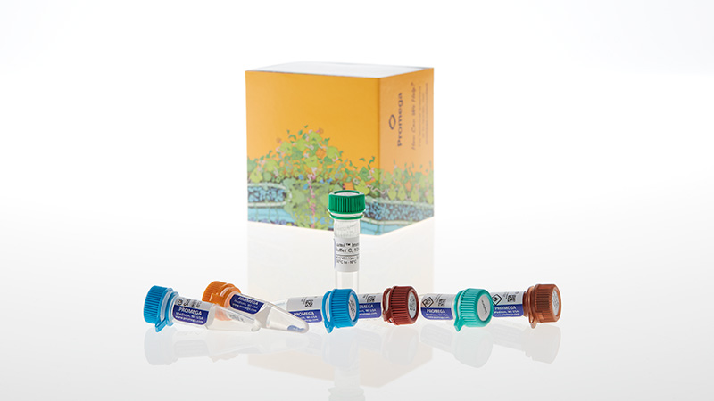 Lumit™ Immunoassay Cellular Systems