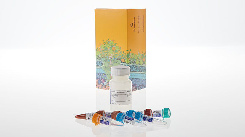 Lumit™ Immunoassay Cellular Systems