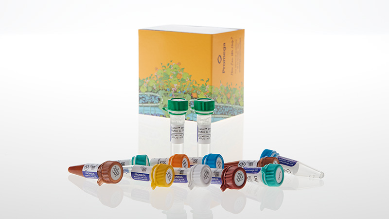 Lumit® Immunoassay Cellular Systems