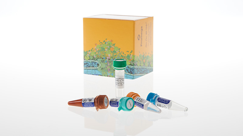 ◆ニチベイ◆ウッドブラインド◆W1220×H920◆O-2506BL7◆ Lumit® Immunoassay Lysis and Detection Kits and Secondary Antibodies