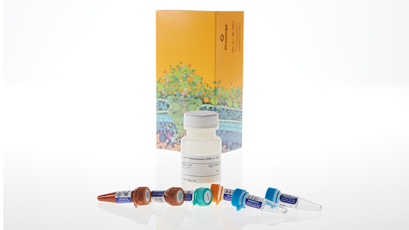 Lumit® Immunoassay Lysis and Detection Kits and Secondary Antibodies