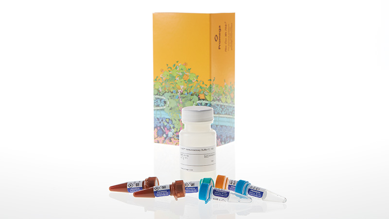Lumit® Immunoassay Lysis and Detection Kits and Secondary Antibodies