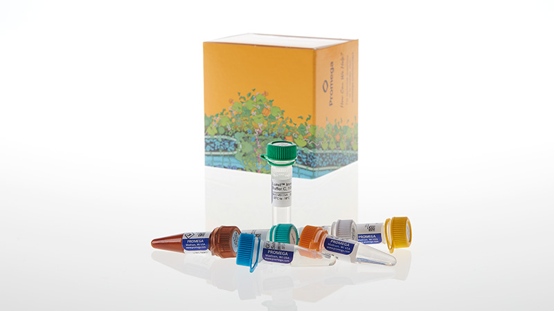 Lumit® Immunoassay Cellular Systems