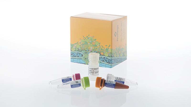 Lumit® IL-8 (Human) Immunoassay