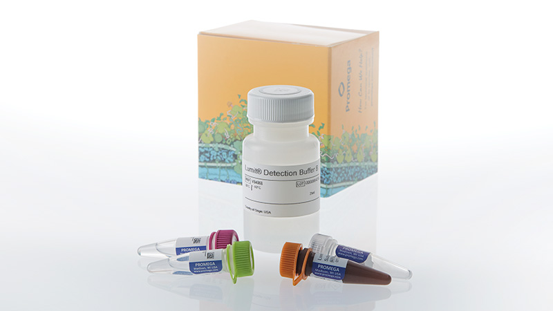 Lumit® IL-8 (Human) Immunoassay