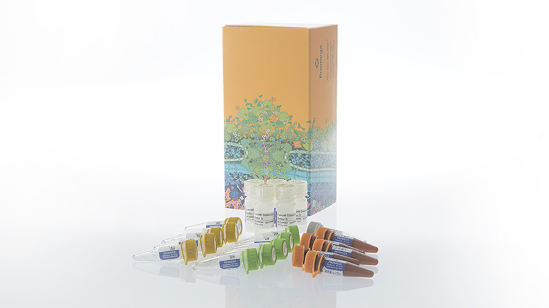 w1852lumitil12p70humanimmunoassay3