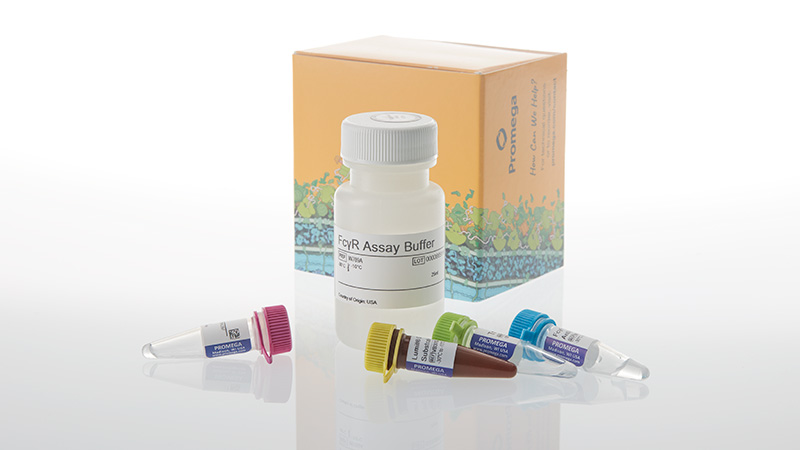 w7040-lumit-fcgriiia-f158-binding-immunoassay