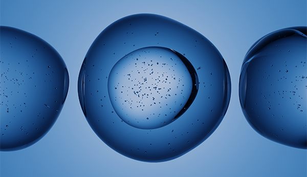 choosing-the-right-cell-health-assay