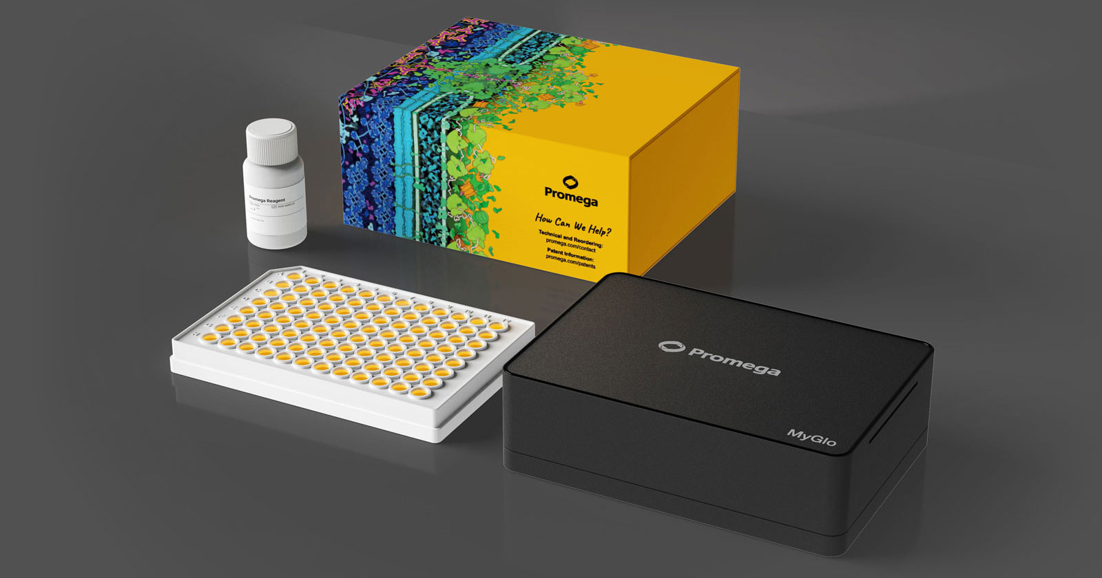LDH-Glo™ Cytotoxicity Assay | LDH Assay | LDH Release | J2380