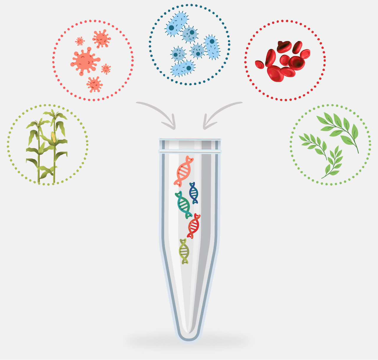 gotaqendureheadersamples