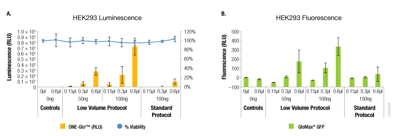 Transfection efficiency for HEK293 cell line.