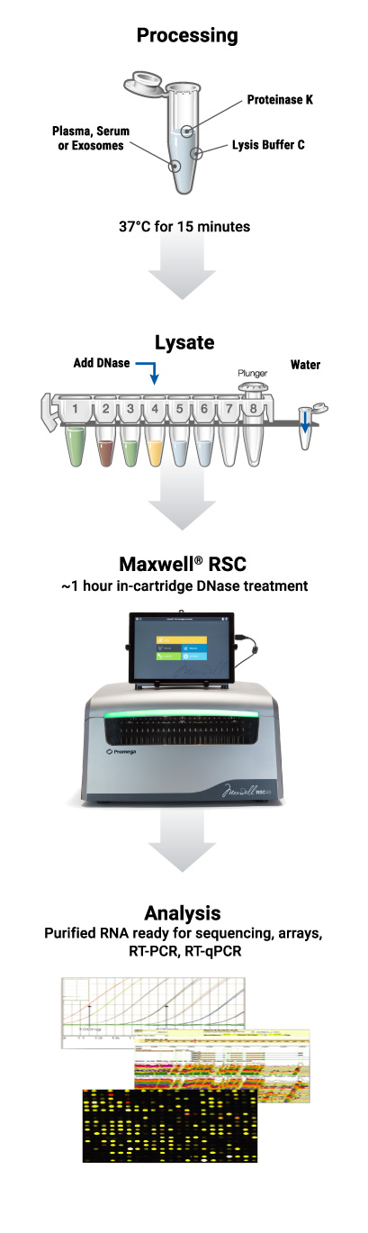 Maxwell® RSC miRNA from Tissue or Plasma and Serum Kits