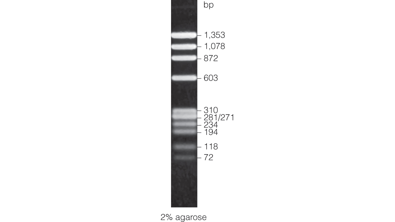 BenchTop ΦX174 DNA/HaeIII Markers