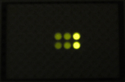 Image of acetosyringone induced E.coli cells