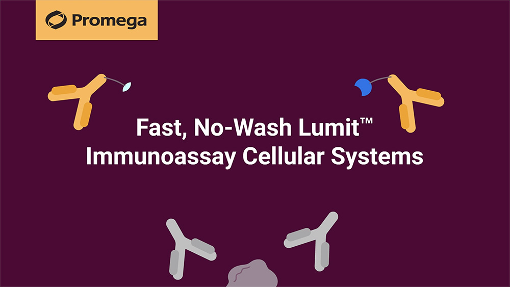 Lumit™ Immunoassay Cellular Systems