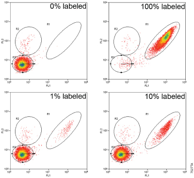 Successful FACS® of labeled HaloTag®-expressing cells.