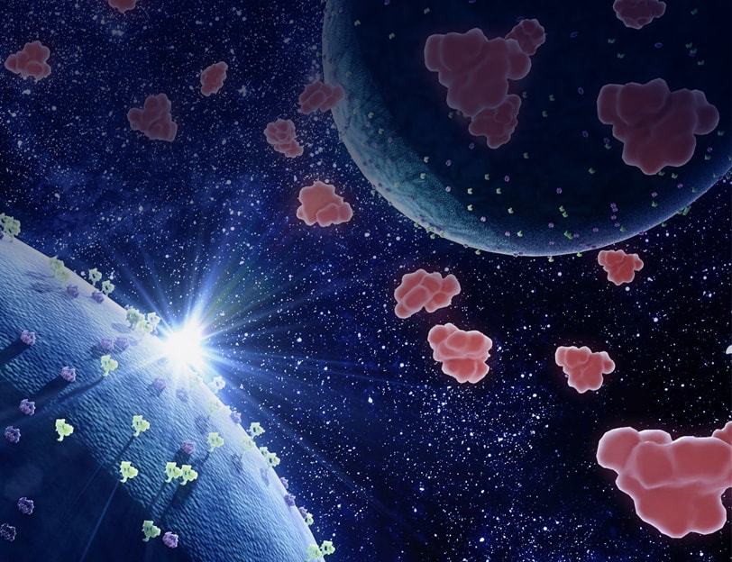 rr-hibit-webinar-812x624