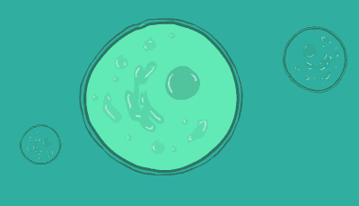 A cell flashes with glowing luminescence