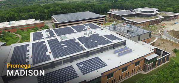 solar-panels-600x280