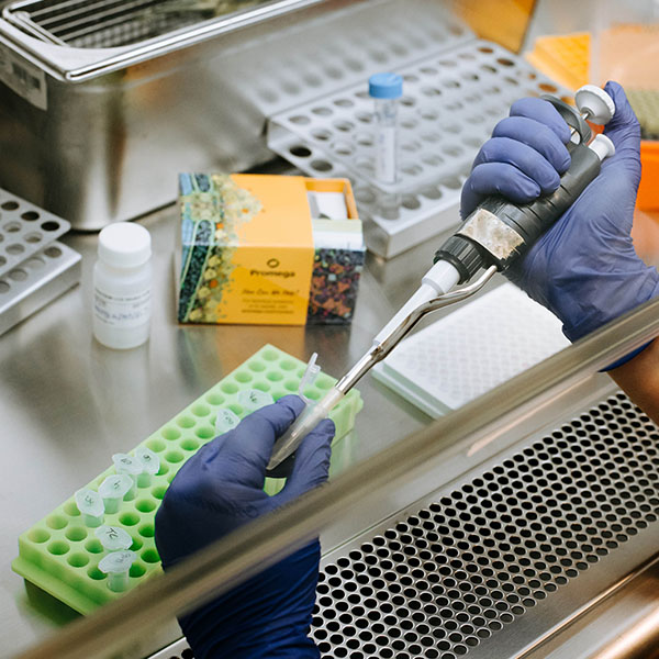 BenchTop ΦX174 DNA/HaeIII Markers